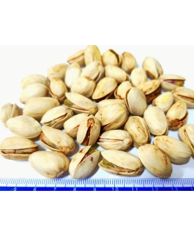 PISTACJE PRAŻONE Z CZOSNKIEM I CEBULKĄ  10 KG NOWOŚĆ W ŁUPINKACH
